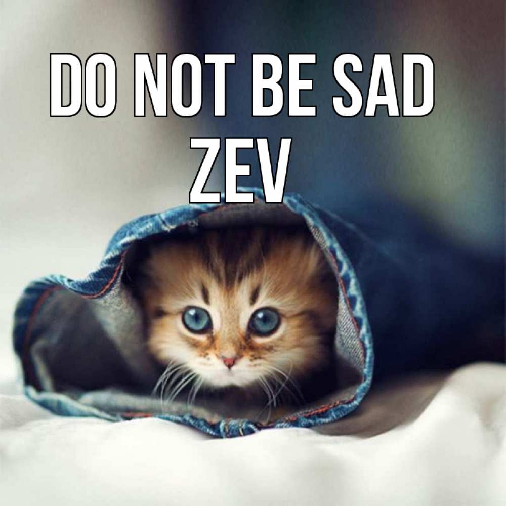 Greetings card с именем, Zev Do not be sad рыжик котик Greetings with text for free download 