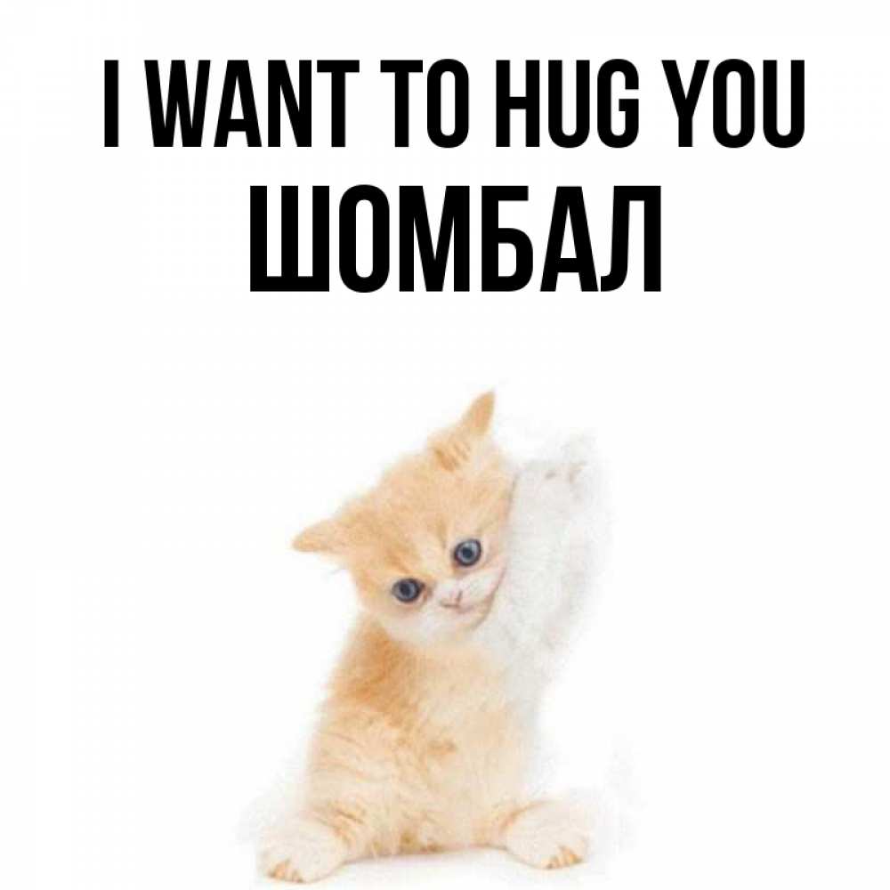 Greetings card с именем, ШОМБАЛ I want to hug you я хочу очень скорее обнимаешек Greetings with text for free download 