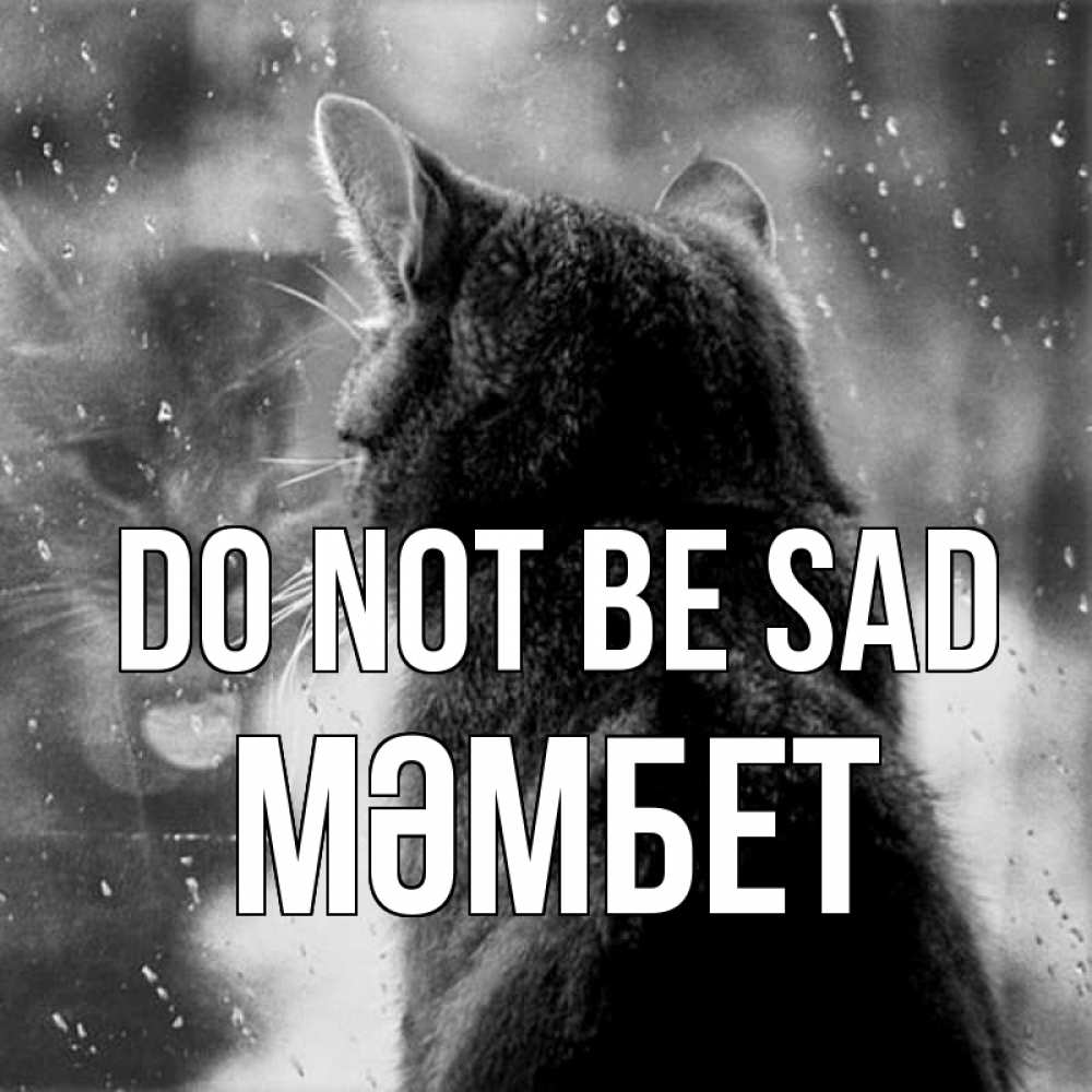 Greetings card с именем, МӘМБЕТ Do not be sad отражение кота 1 Greetings with text for free download 