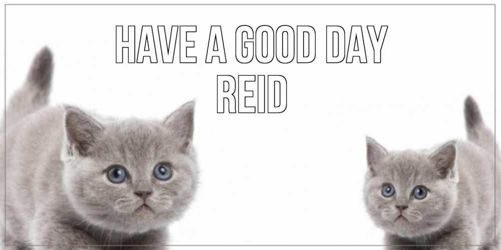 Greetings card с именем, Reid Have a good day открытка с котами Greetings with text for free download 