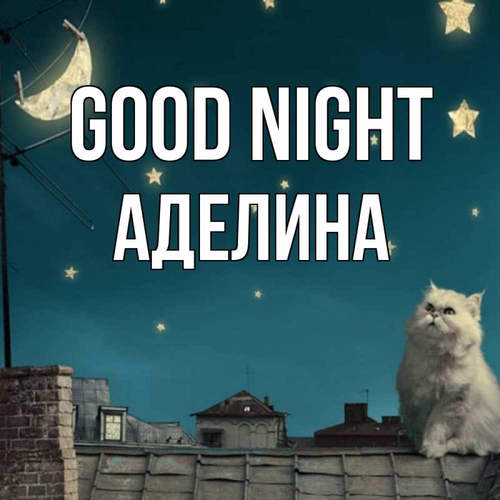 Greetings card с именем, Аделина Good night белый кот сидит на крыше Greetings with text for free download 