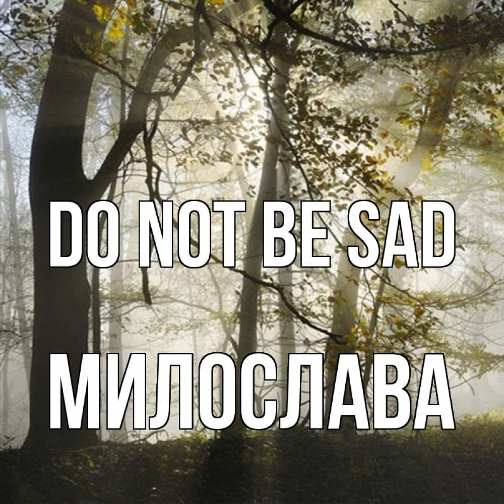 Greetings card с именем, Милослава Do not be sad лес и свет Greetings with text for free download 