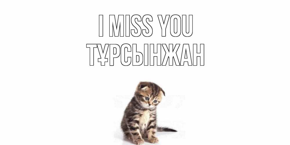 Greetings card с именем, ТҰРСЫНЖАН I miss you кот Greetings with text for free download 