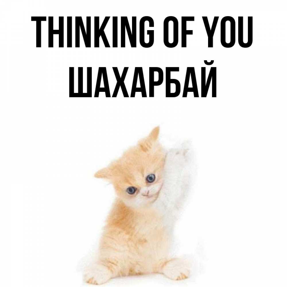Greetings card с именем, ШАХАРБАЙ Thinking of you зверушки и милота Greetings with text for free download 