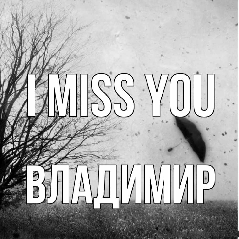 Greetings card с именем, Владимир I miss you зонт летит Greetings with text for free download 