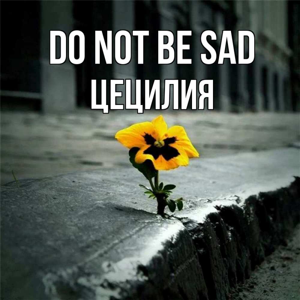 Greetings card с именем, Цецилия Do not be sad не сдавайся Greetings with text for free download 