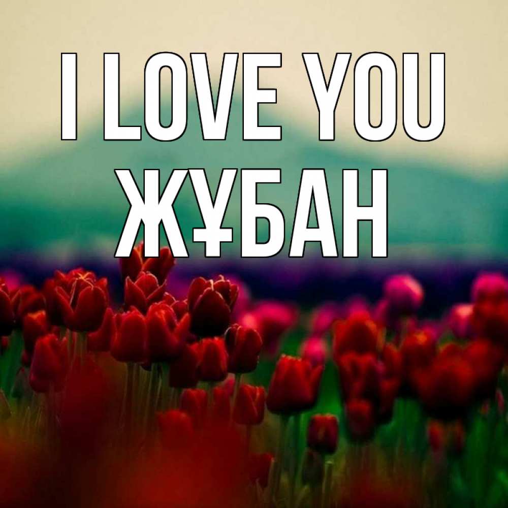 Greetings card с именем, Жұбан I love you тюльпаны 4 Greetings with text for free download 