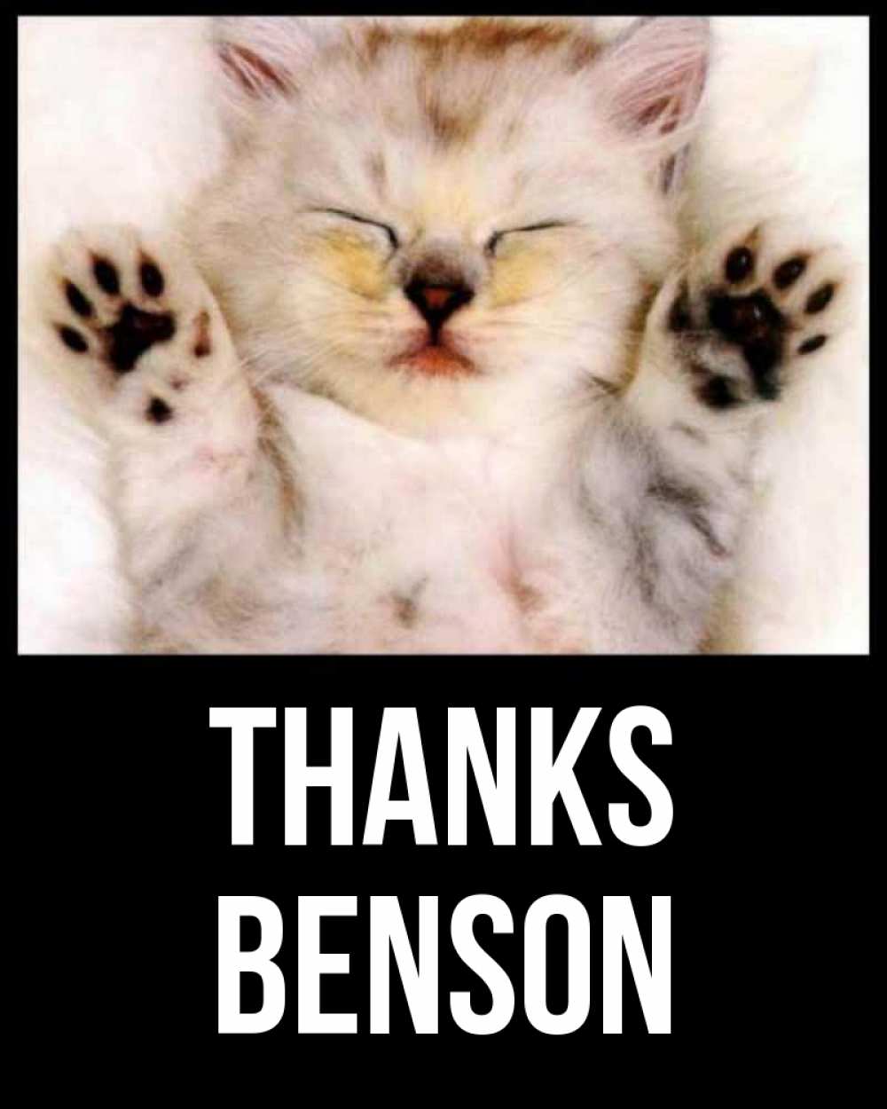 Greetings card с именем, Benson Thanks маленький котенок Greetings with text for free download 