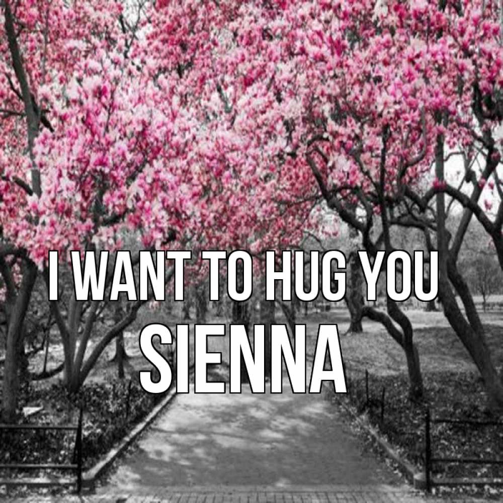 Greetings card с именем, Sienna I want to hug you обработанное фото Greetings with text for free download 