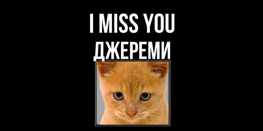Greetings card с именем, Джереми I miss you открытки рыжий котенок скучает по тебе Greetings with text for free download 