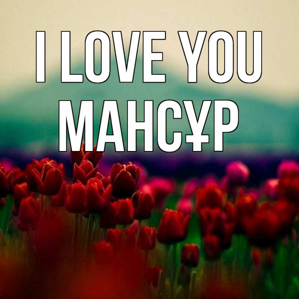 Greetings card с именем, МАНСҰР I love you тюльпаны 4 Greetings with text for free download 