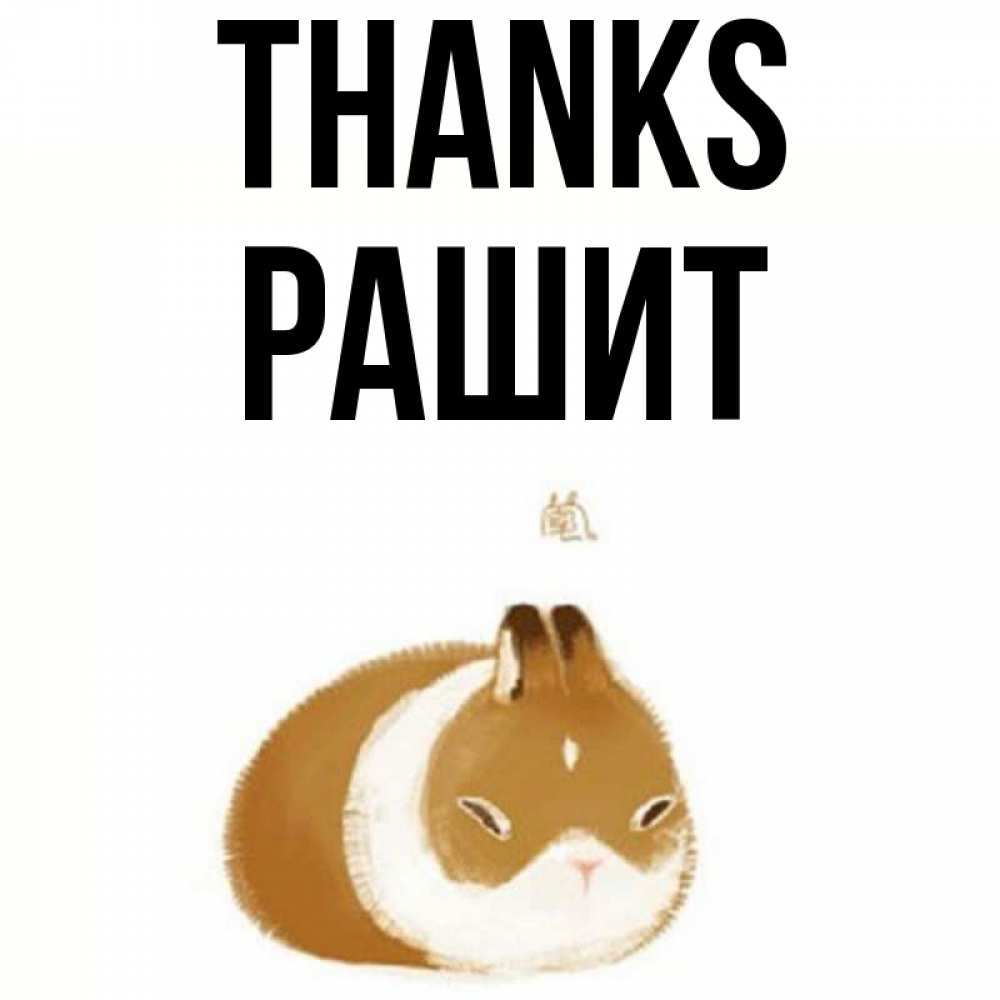 Greetings card с именем, РАШИТ Thanks коричнево белый домашний питомец Greetings with text for free download 