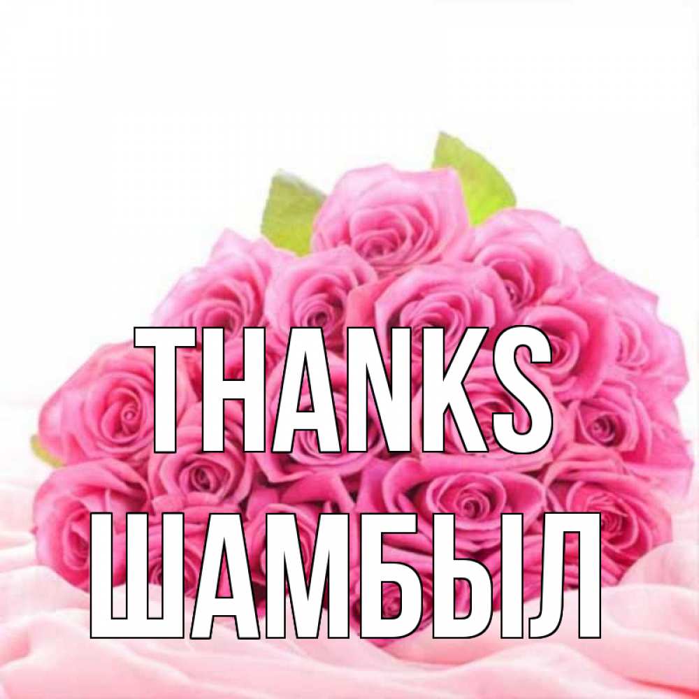 Greetings card с именем, ШАМБЫЛ Thanks розовые розы с подписью Greetings with text for free download 