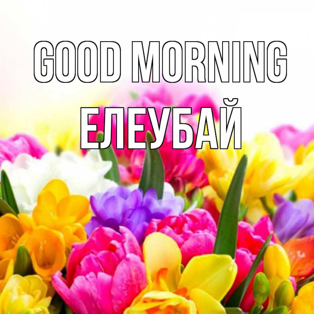 Greetings card с именем, Елеубай Good morning создать открытку со свое подписью Greetings with text for free download 