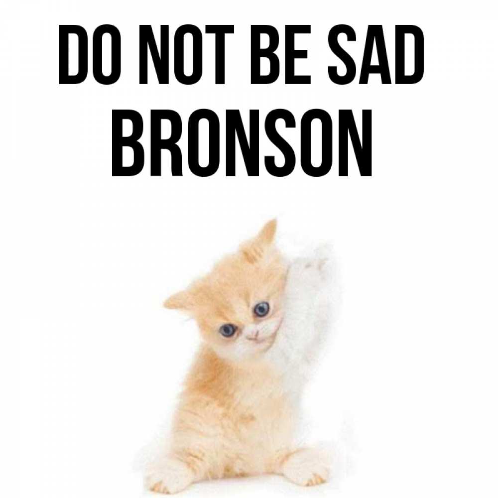 Greetings card с именем, Bronson Do not be sad просящий кот Greetings with text for free download 