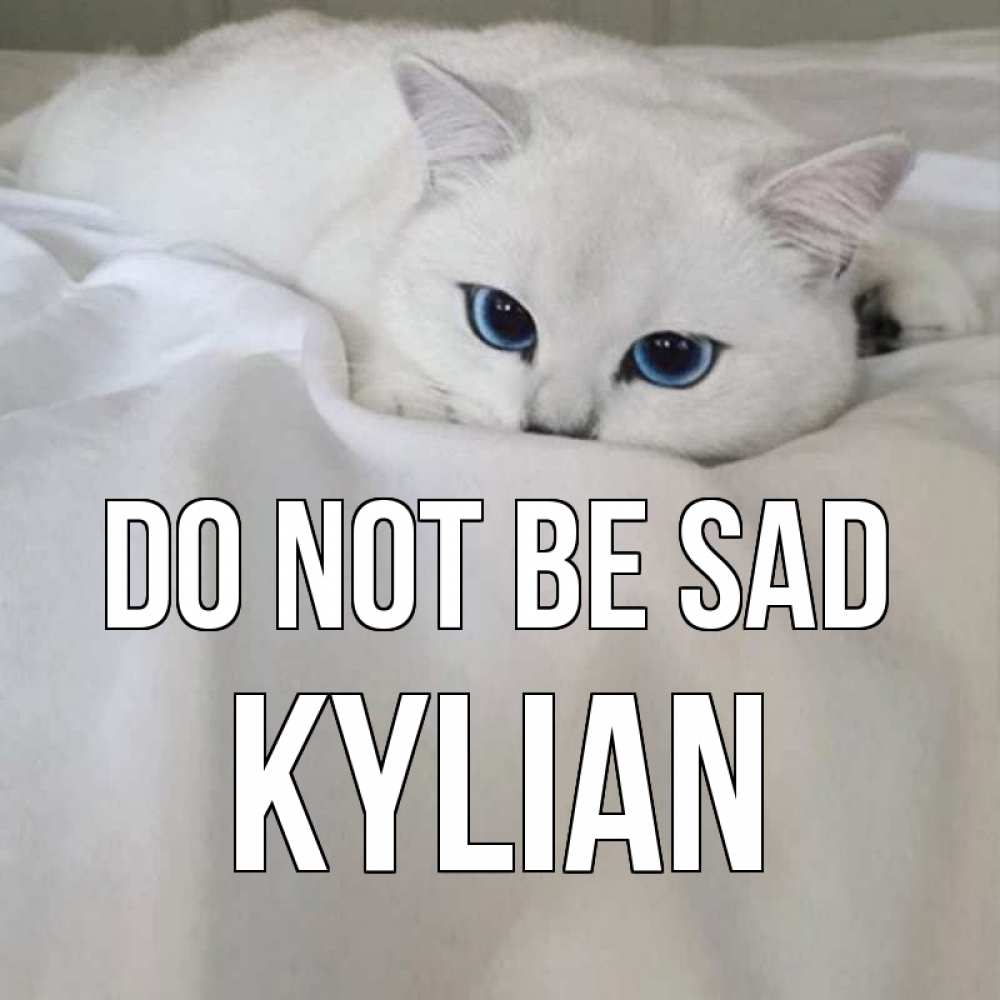 Greetings card с именем, Kylian Do not be sad белый кот с голубыми глазами на белоснежной кровати Greetings with text for free download 