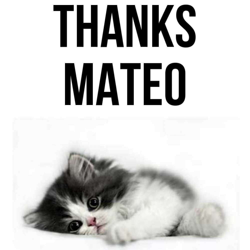 Greetings card с именем, Mateo Thanks черный и белый кот Greetings with text for free download 