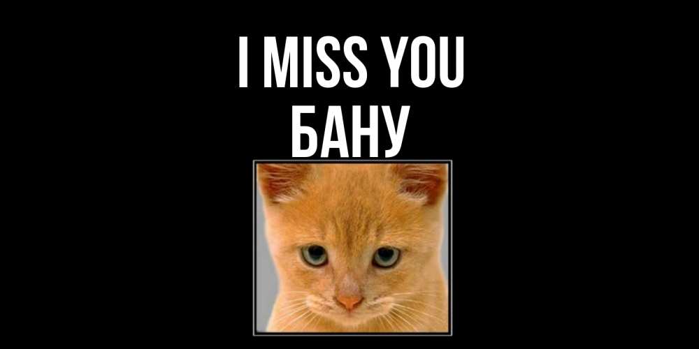 Greetings card с именем, БАНУ I miss you открытки рыжий котенок скучает по тебе Greetings with text for free download 
