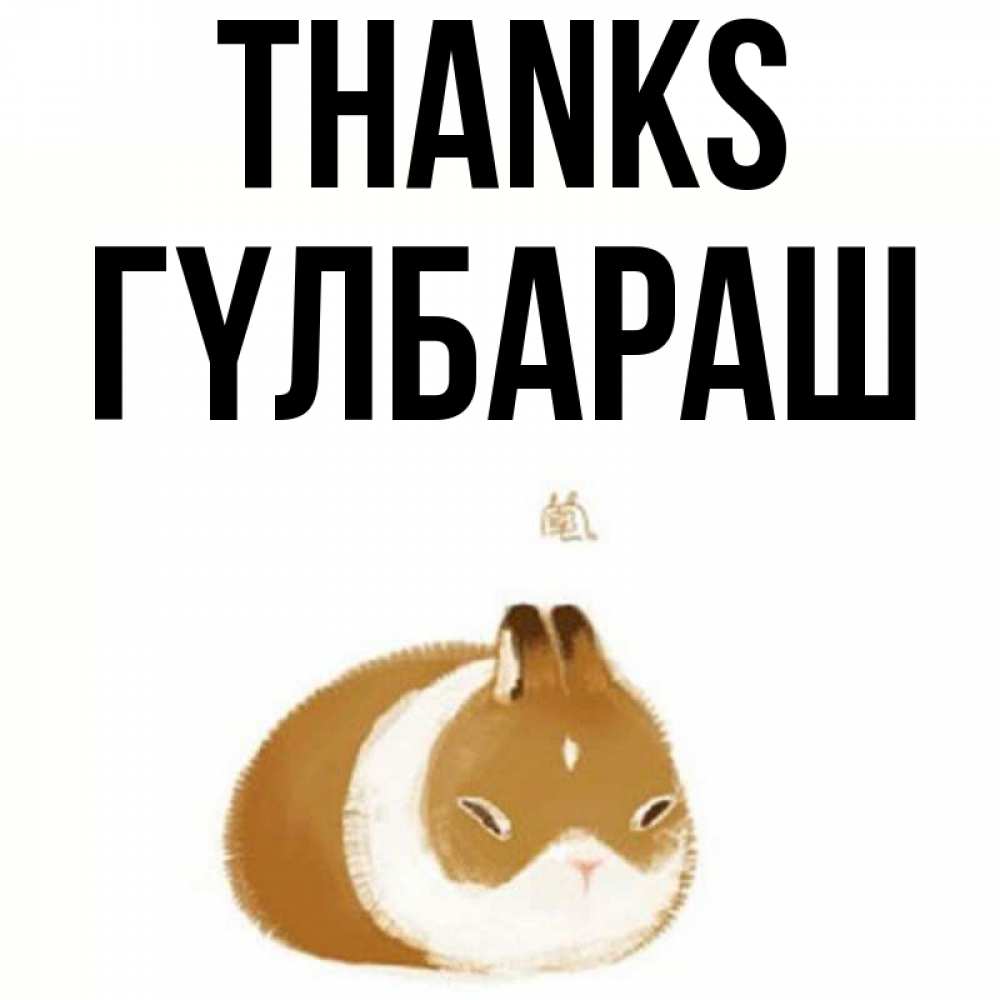Greetings card с именем, ГҮЛБАРАШ Thanks коричнево белый домашний питомец Greetings with text for free download 