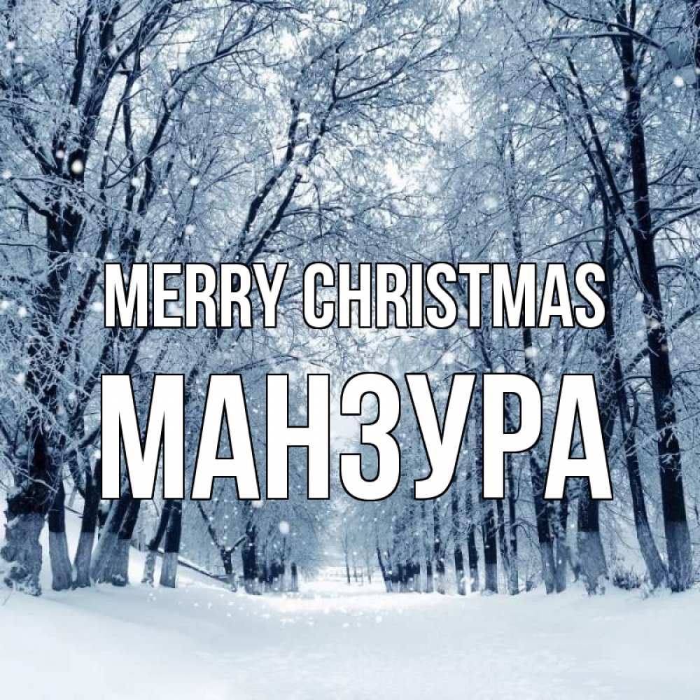 Greetings card с именем, МАНЗУРА Merry Christmas снег, лес, парк Greetings with text for free download 