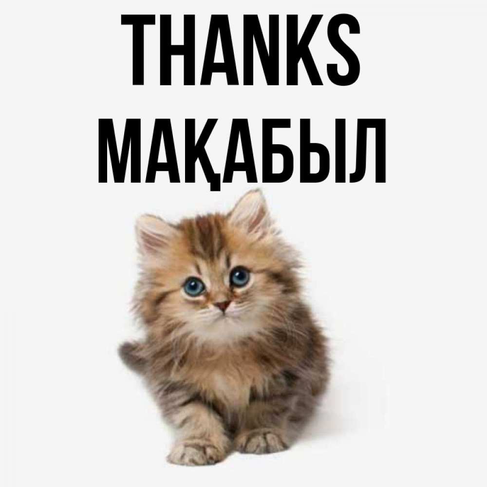 Greetings card с именем, МАҚАБЫЛ Thanks пушистый котик Greetings with text for free download 