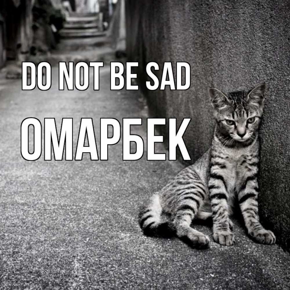 Greetings card с именем, ОМАРБЕК Do not be sad скучающий котик Greetings with text for free download 