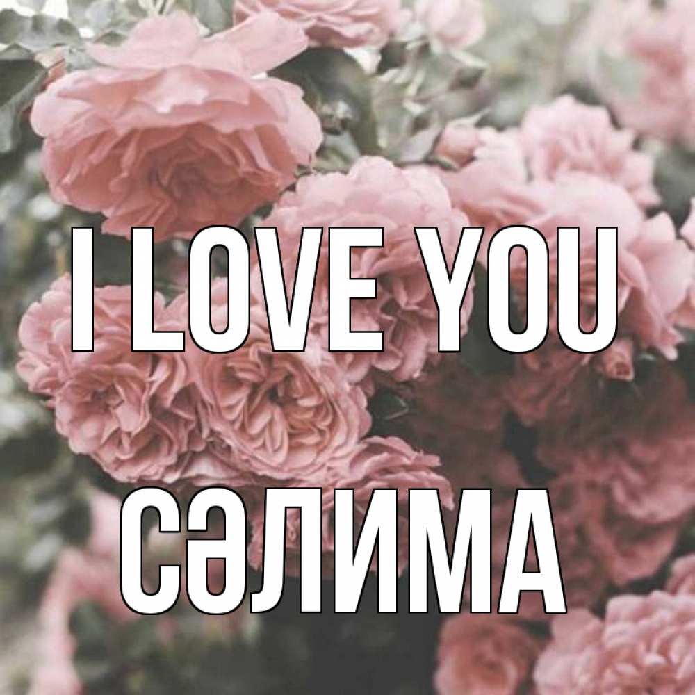 Greetings card с именем, СӘЛИМА I love you розы 3 Greetings with text for free download 