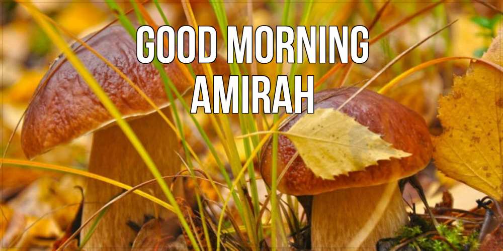 Greetings card с именем, Amirah Good morning осенние грибы Greetings with text for free download 