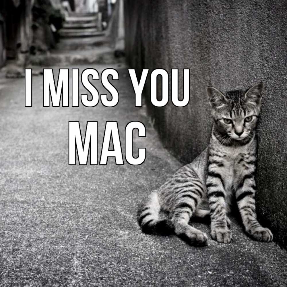 Greetings card с именем, Mac I miss you одиноко котику Greetings with text for free download 