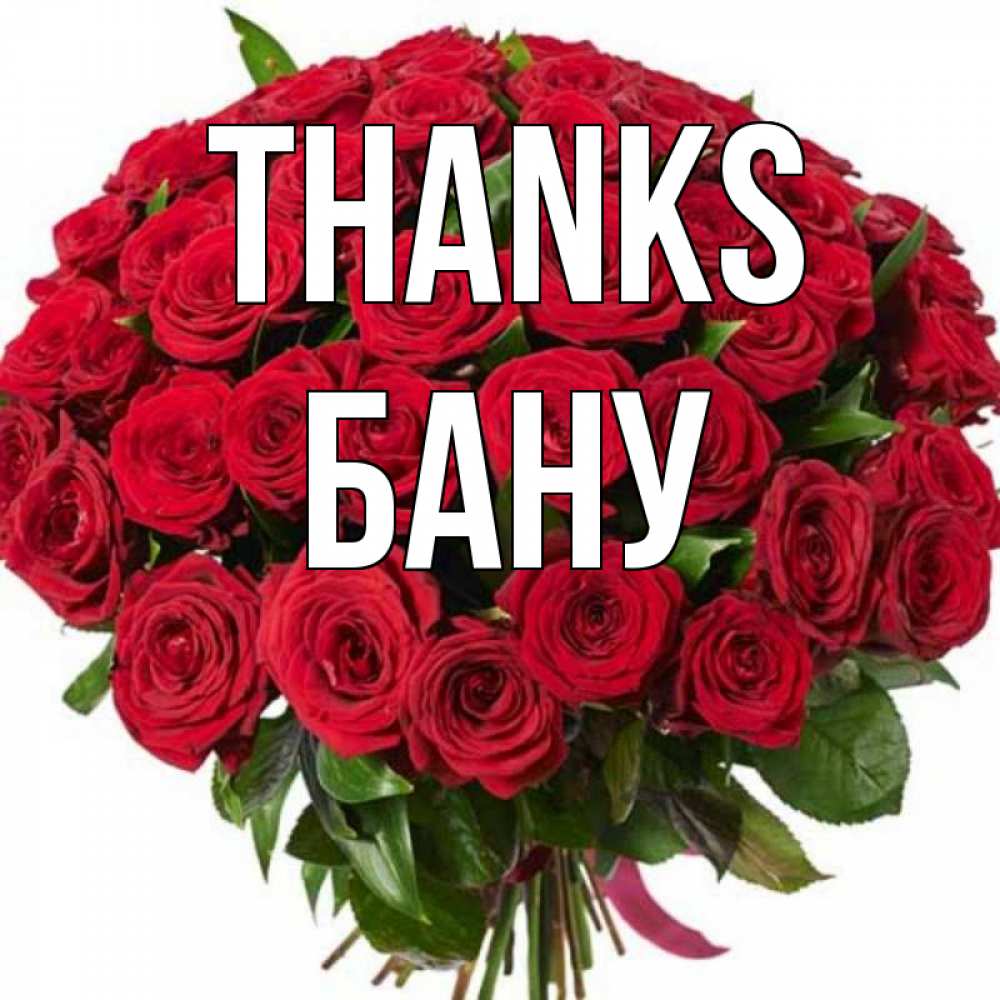 Greetings card с именем, БАНУ Thanks букет красных роз Greetings with text for free download 