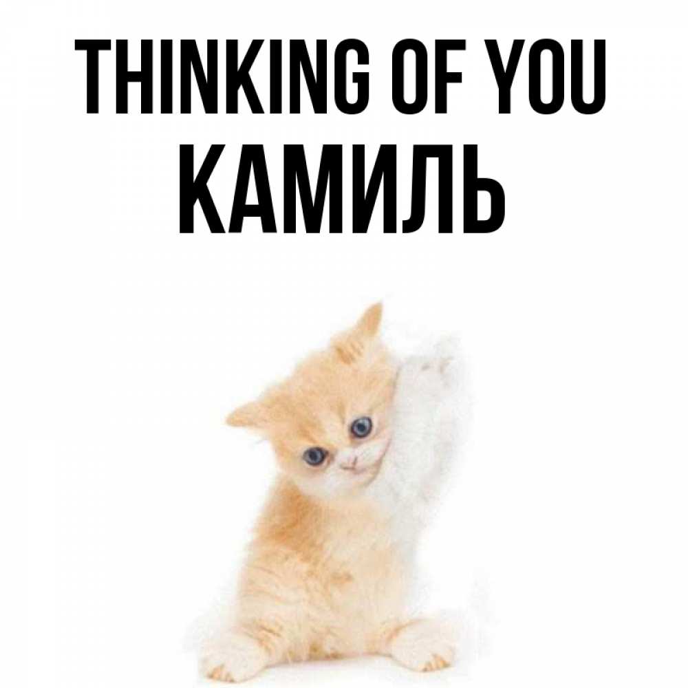 Greetings card с именем, Камиль Thinking of you зверушки и милота Greetings with text for free download 
