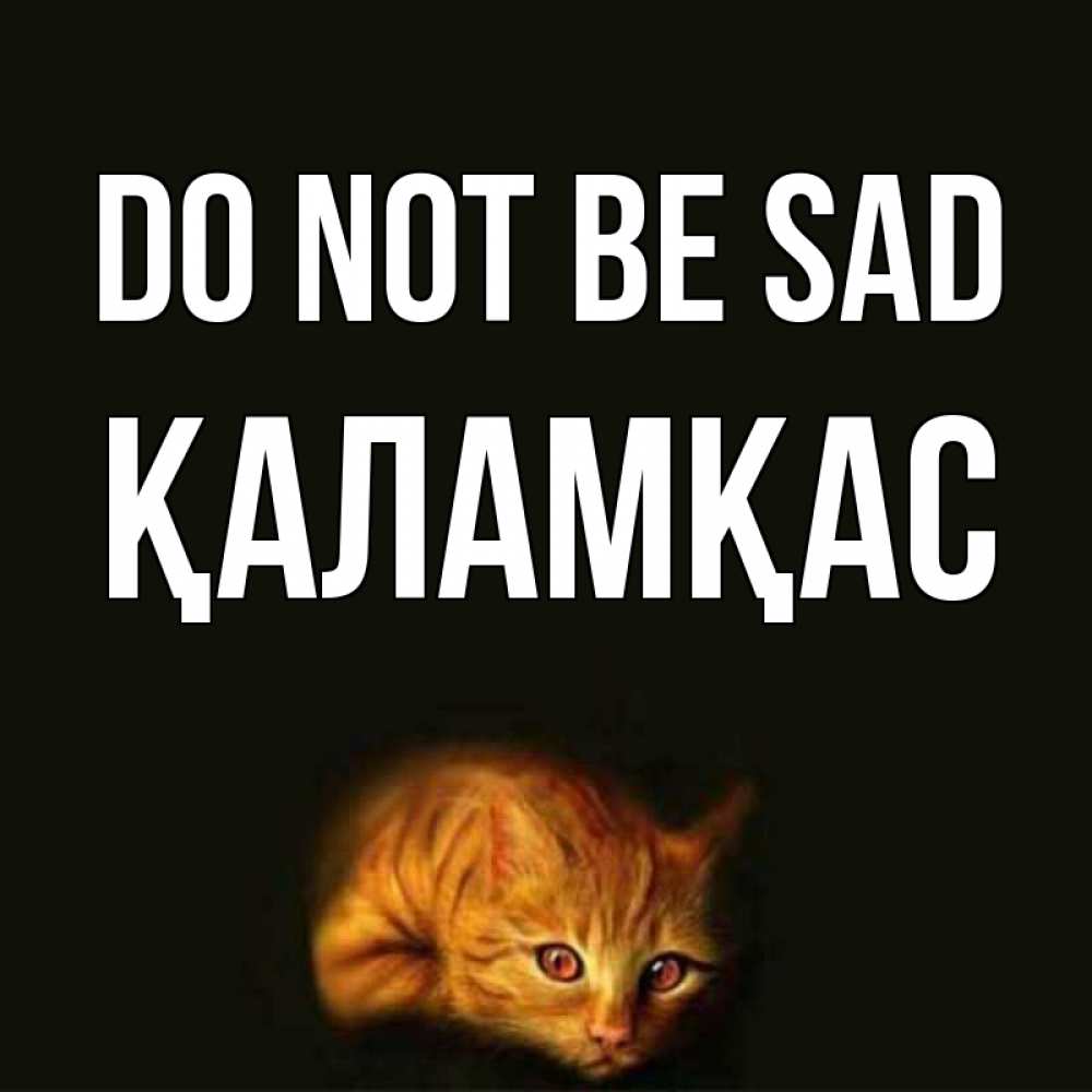 Greetings card с именем, ҚАЛАМҚАС Do not be sad лежащий кот в темноте Greetings with text for free download 