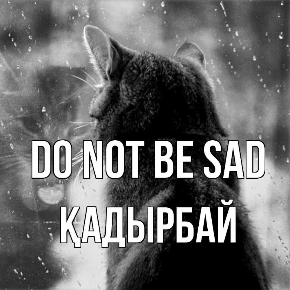 Greetings card с именем, Қадырбай Do not be sad отражение кота 1 Greetings with text for free download 