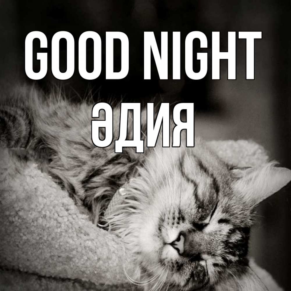 Greetings card с именем, ӘДИЯ Good night котярик пушистый Greetings with text for free download 