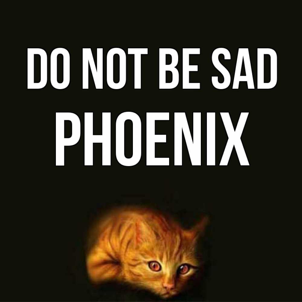 Greetings card с именем, Phoenix Do not be sad лежащий кот в темноте Greetings with text for free download 