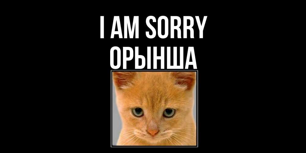 Greetings card с именем, ОРЫНША I am sorry рыжий грустный кот просит прощения Greetings with text for free download 
