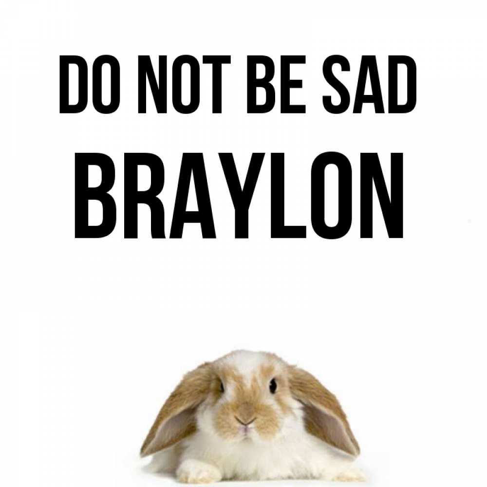 Greetings card с именем, Braylon Do not be sad коричнево белый заяц с большими ушками Greetings with text for free download 