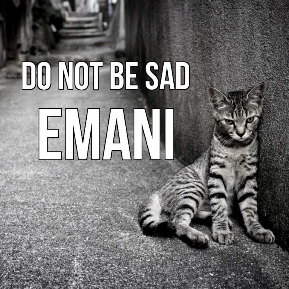 Greetings card с именем, Emani Do not be sad скучающий котик Greetings with text for free download 