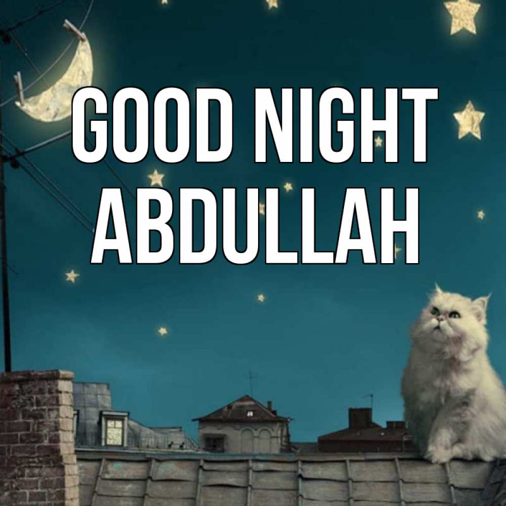Greetings card с именем, Abdullah Good night белый кот сидит на крыше Greetings with text for free download 