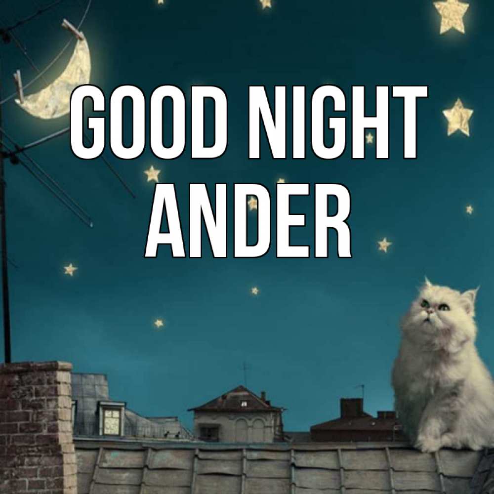 Greetings card с именем, Ander Good night белый кот сидит на крыше Greetings with text for free download 