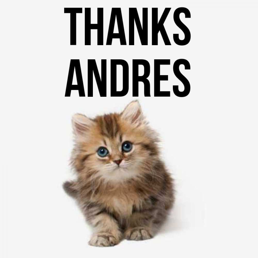 Greetings card с именем, Andres Thanks пушистый котик Greetings with text for free download 