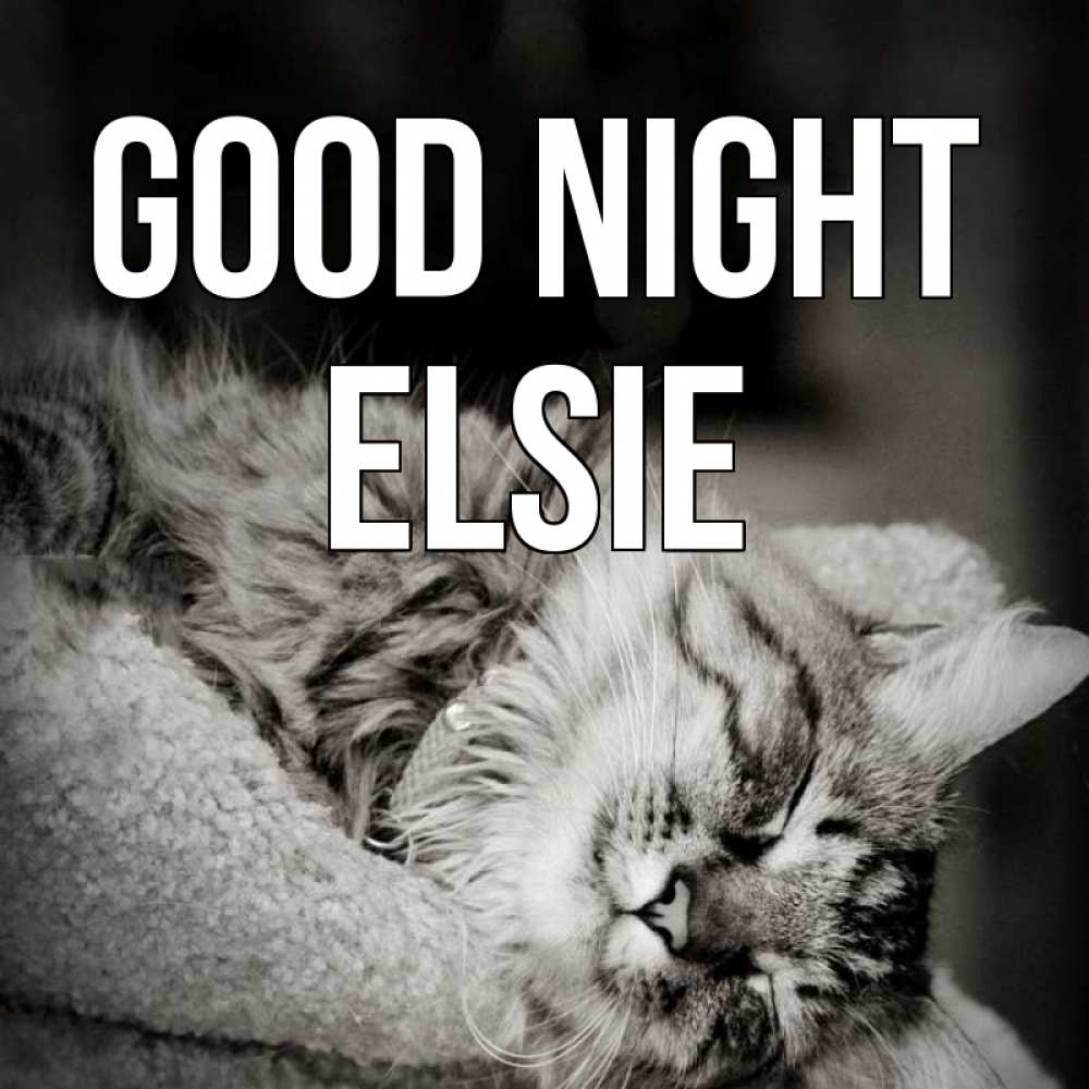Greetings card с именем, Elsie Good night котярик пушистый Greetings with text for free download 