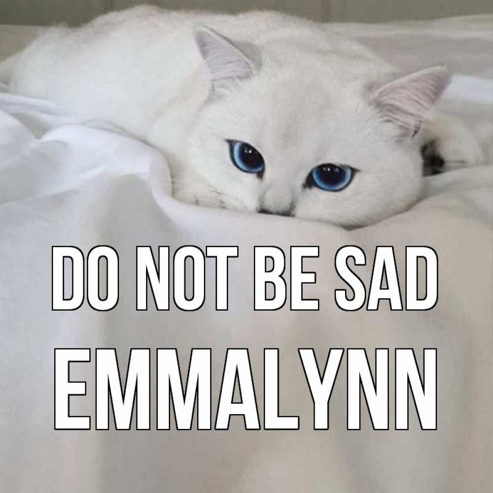 Greetings card с именем, Emmalynn Do not be sad белый кот с голубыми глазами на белоснежной кровати Greetings with text for free download 