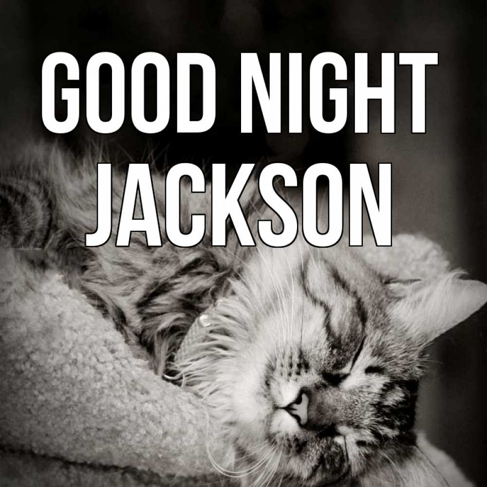 Greetings card с именем, Jackson Good night котярик пушистый Greetings with text for free download 