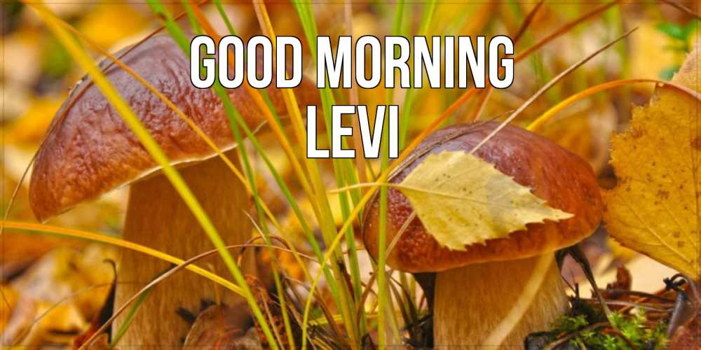 Greetings card с именем, Levi Good morning осенние грибы Greetings with text for free download 