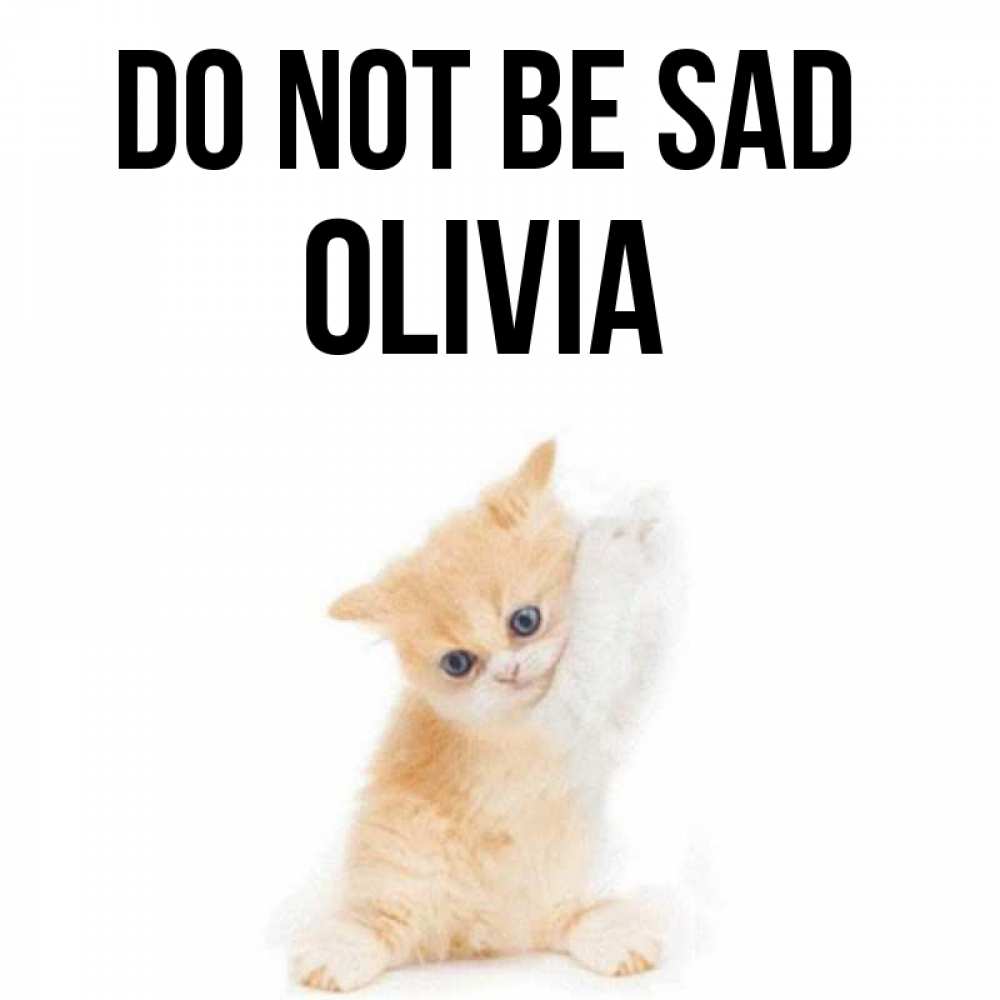 Greetings card с именем, Olivia Do not be sad просящий кот Greetings with text for free download 