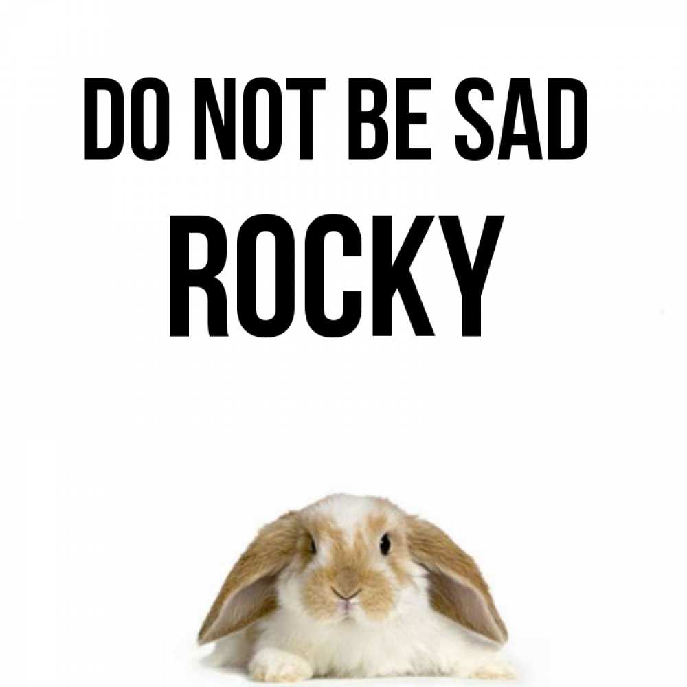 Greetings card с именем, Rocky Do not be sad коричнево белый заяц с большими ушками Greetings with text for free download 