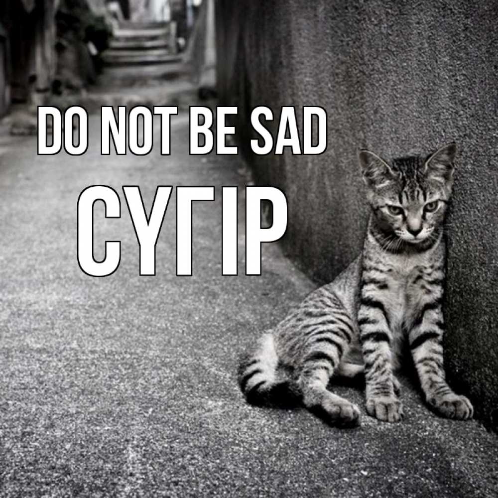 Greetings card с именем, СҮГІР Do not be sad скучающий котик Greetings with text for free download 
