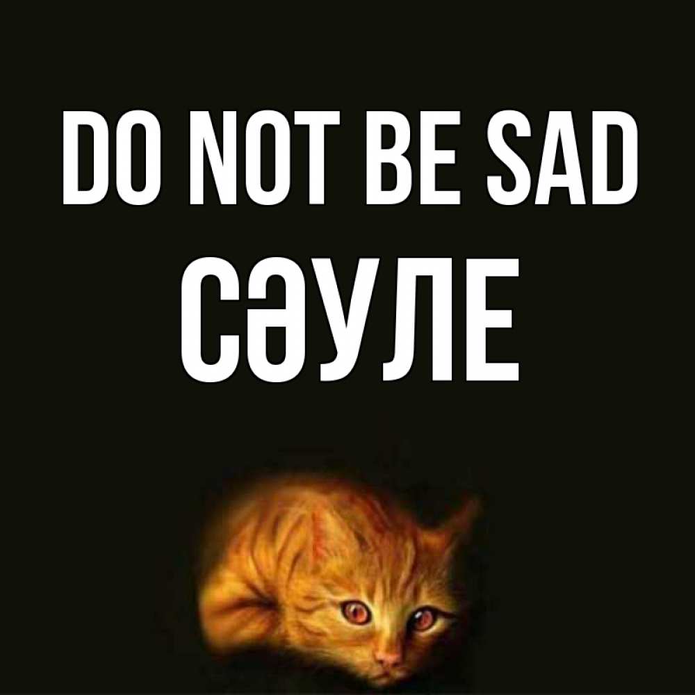 Greetings card с именем, СӘУЛЕ Do not be sad лежащий кот в темноте Greetings with text for free download 
