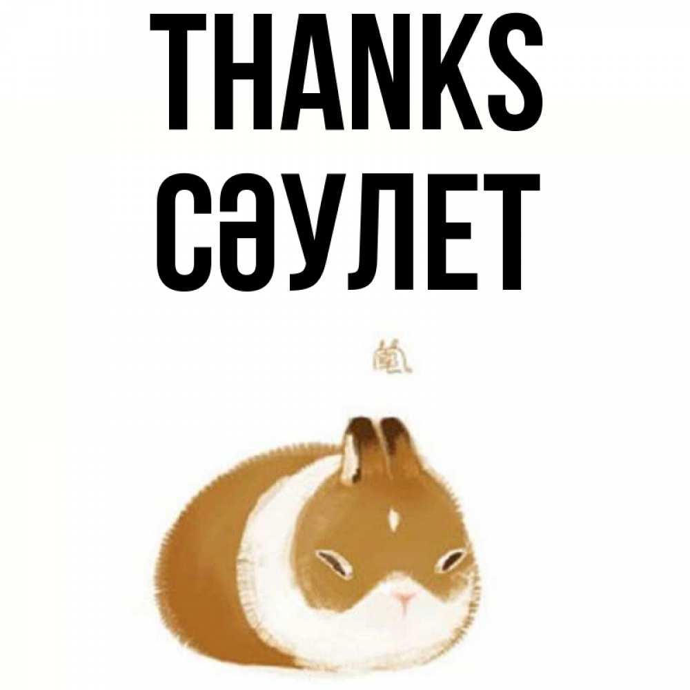 Greetings card с именем, СӘУЛЕТ Thanks коричнево белый домашний питомец Greetings with text for free download 